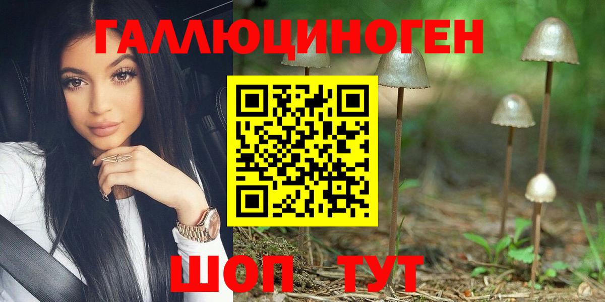 Псилоцибиновые грибы Psilocybine cubensis  Вход с VPN  Гуково  Псилоцибиновые грибы Psilocybine cubensis 